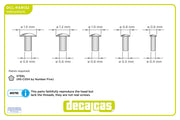 Decalcas Slotted Large Raised Chees Head Screws