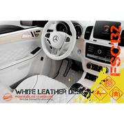 FSC132-firescalemodeler-gpmodeling