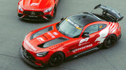 Alpha Model MERCEDES AMG GT Black Series-am02-0058-gpmoeling