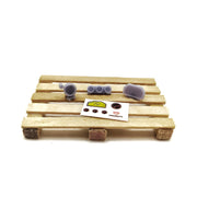 yamamoto_YMPTUN24_gpmodeling