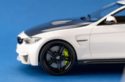 BMW M4 resin kit 1/24 ALPHAMODEL