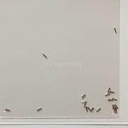 Top Studio Rivets 0.7mm (A) - 1/24 TD23095-gpmodeling