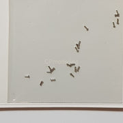 Top Studio Rivets 0.9mm (A) - 1/24 TD23023-gpmodeling