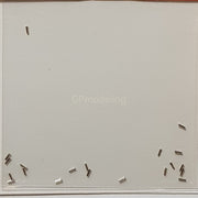 Top Studio Rivets 0.6mm (B) - 1/24 TD23086-gpmodeling