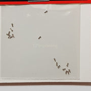 Top Studio Rivets 0.9mm (B) - 1/24 TD23026-gpmodeling