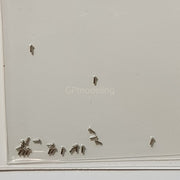 Top Studio Rivets 1.0mm (B) - 1/24 TD23088-gpmodeling