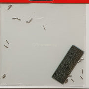 Top Studio Toggle switch 1:20/24 TD23137-gpmodeling