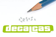 DECALCAS Nuts 1/24 scale