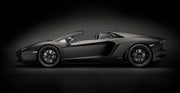 Pocher HK121F Lamborghini Aventador LP700-4 Roadster Nero Nemesis